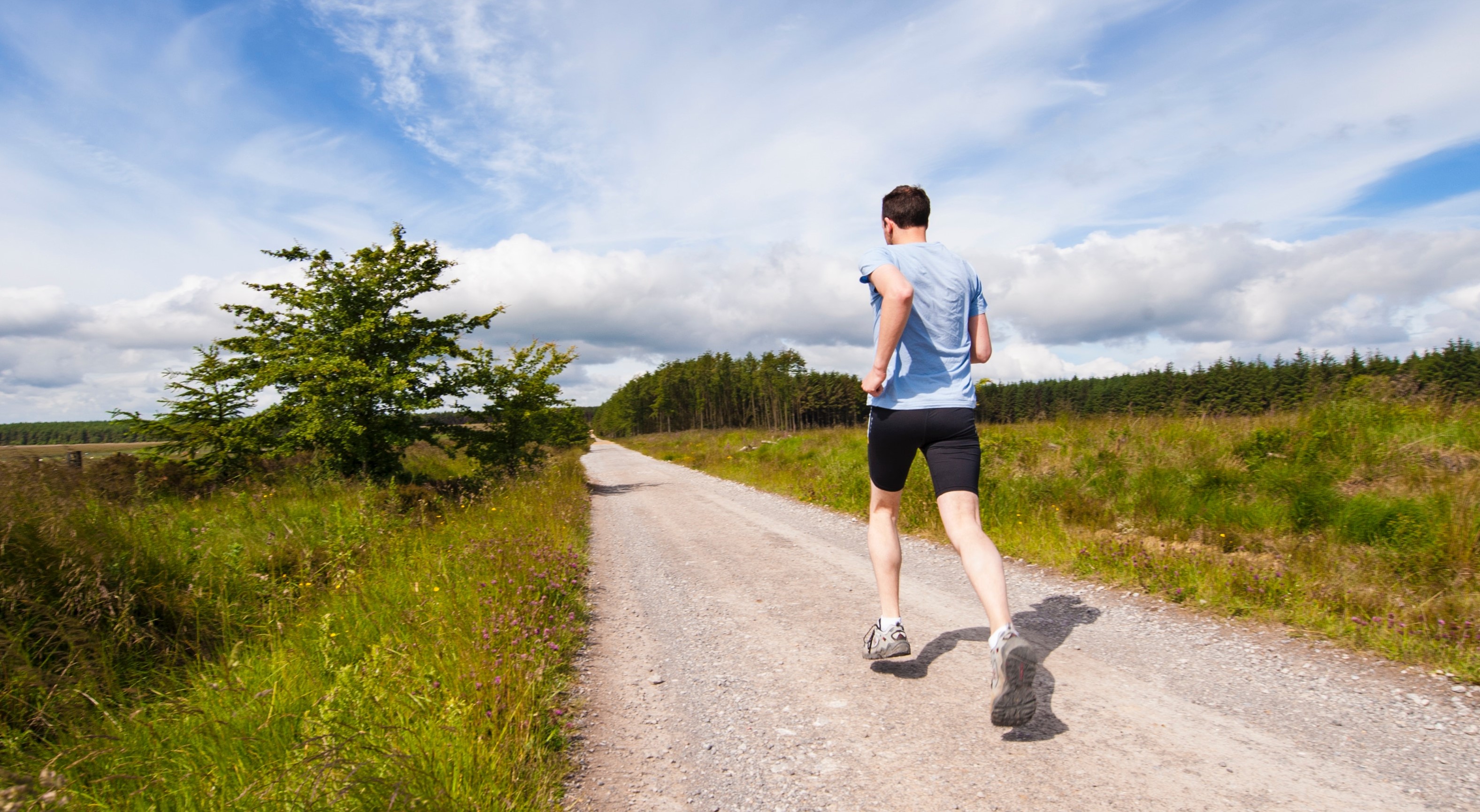 Entraînement du club
